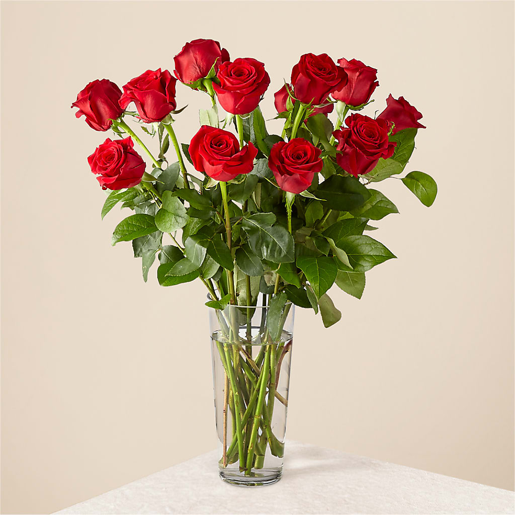 Long Stem Red Rose Bouquet – Flower House Iii, Spring Hill FL