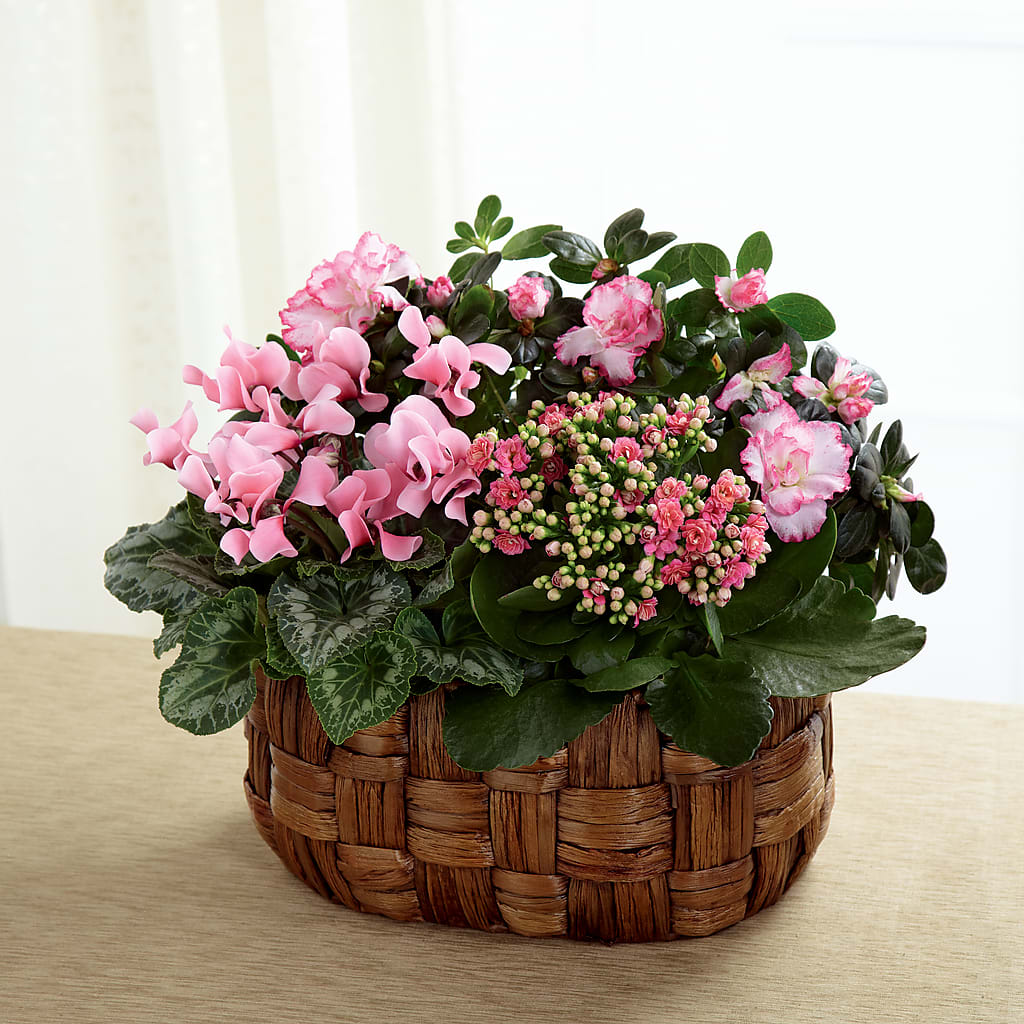 Pink Assortment – Flower House Iii, Spring Hill FL