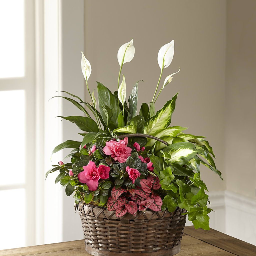 Dream in Pink Dishgarden – Flower House Iii, Spring Hill FL