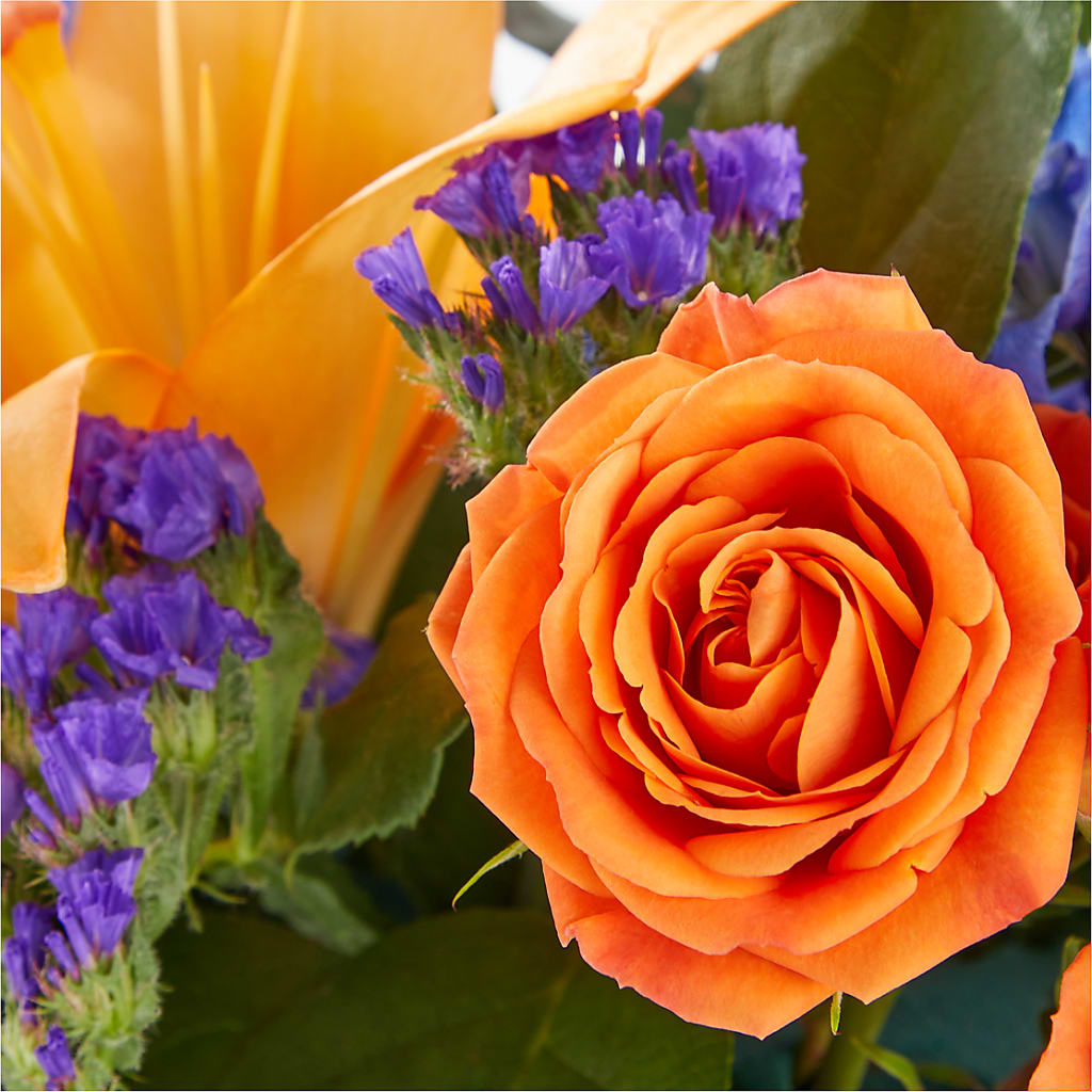 Radiant Citrus Box Bouquet – Flower House Iii, Spring Hill FL