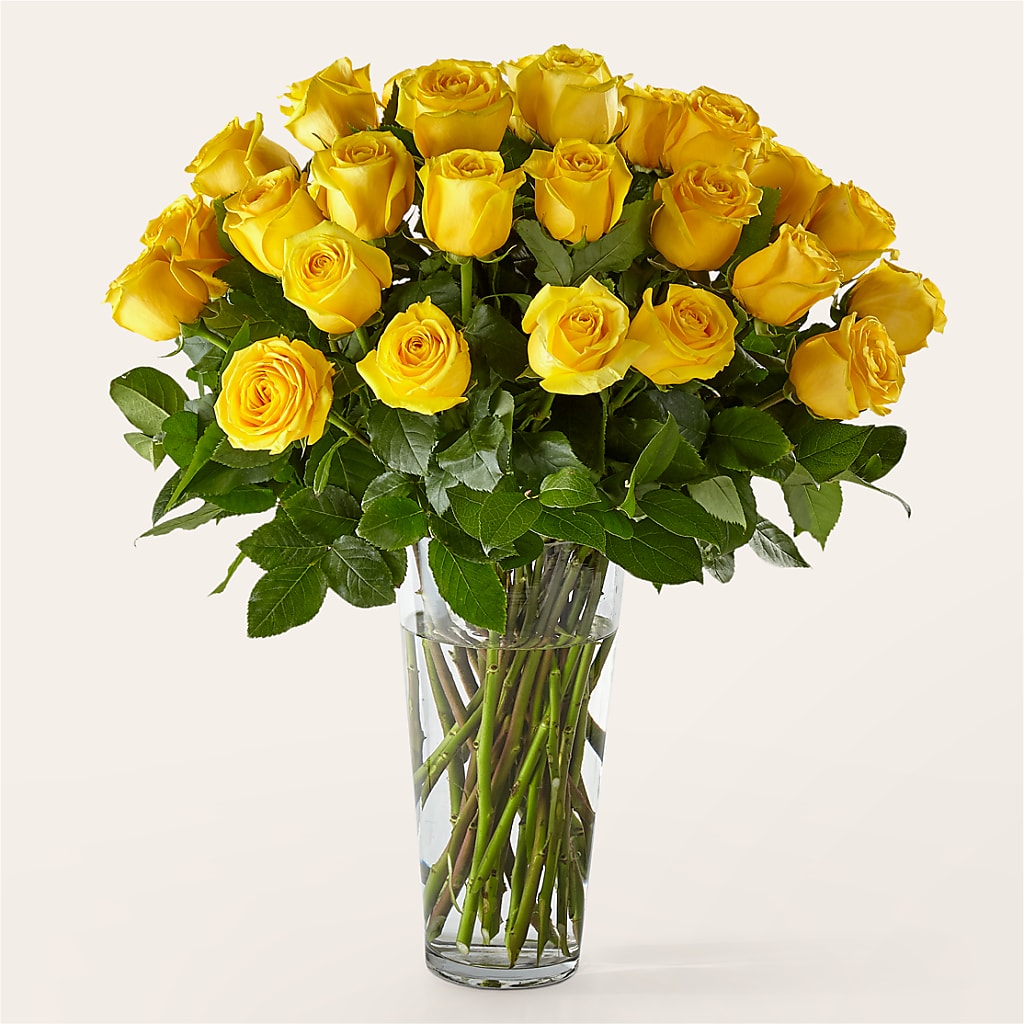 Long Stem Yellow Rose Bouquet – Flower House Iii, Spring Hill FL