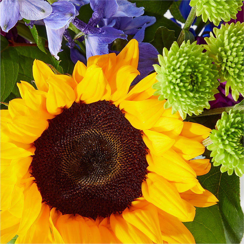 Catching Rays Bouquet – Flower House Iii, Spring Hill FL