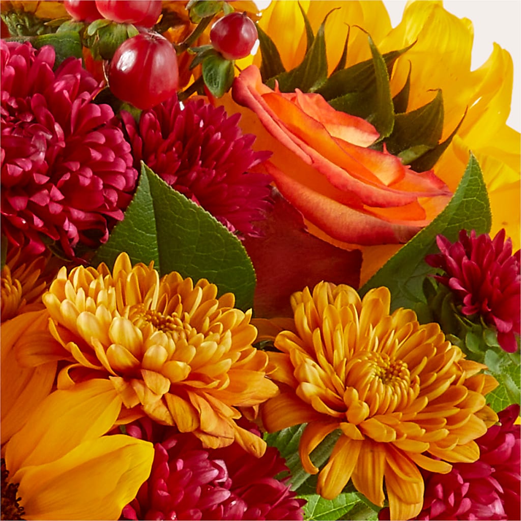 Sweater Season - A Florist Original – Flower House Iii, Spring Hill FL