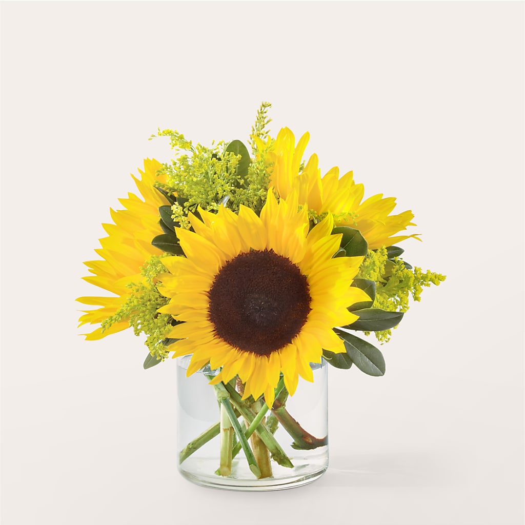 Beaming Sunflower Bouquet – Flower House Iii, Spring Hill FL