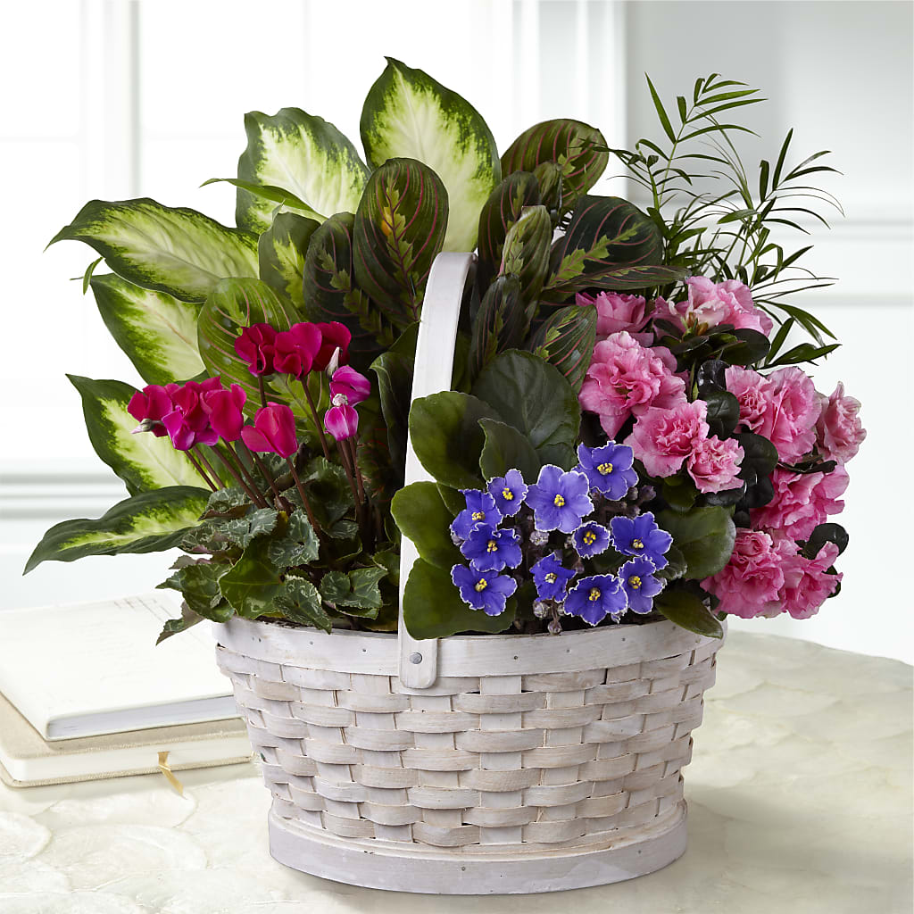 Peaceful Garden Planter – Flower House Iii, Spring Hill FL