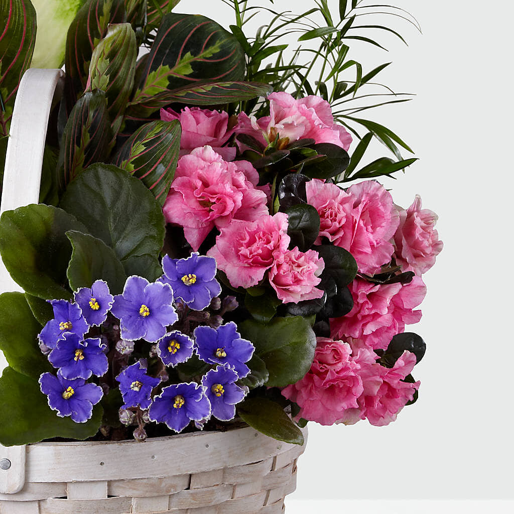 Peaceful Garden Planter – Flower House Iii, Spring Hill FL