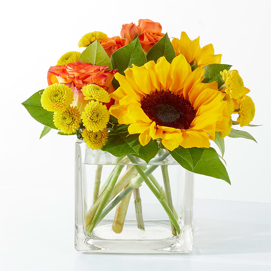 Picnic in the Park Bouquet – Flower House Iii, Spring Hill FL