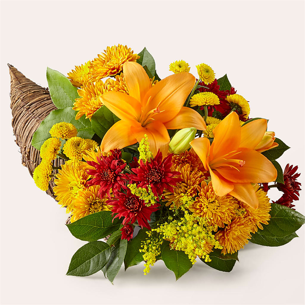 Feast of Color Cornucopia – Flower House Iii, Spring Hill FL