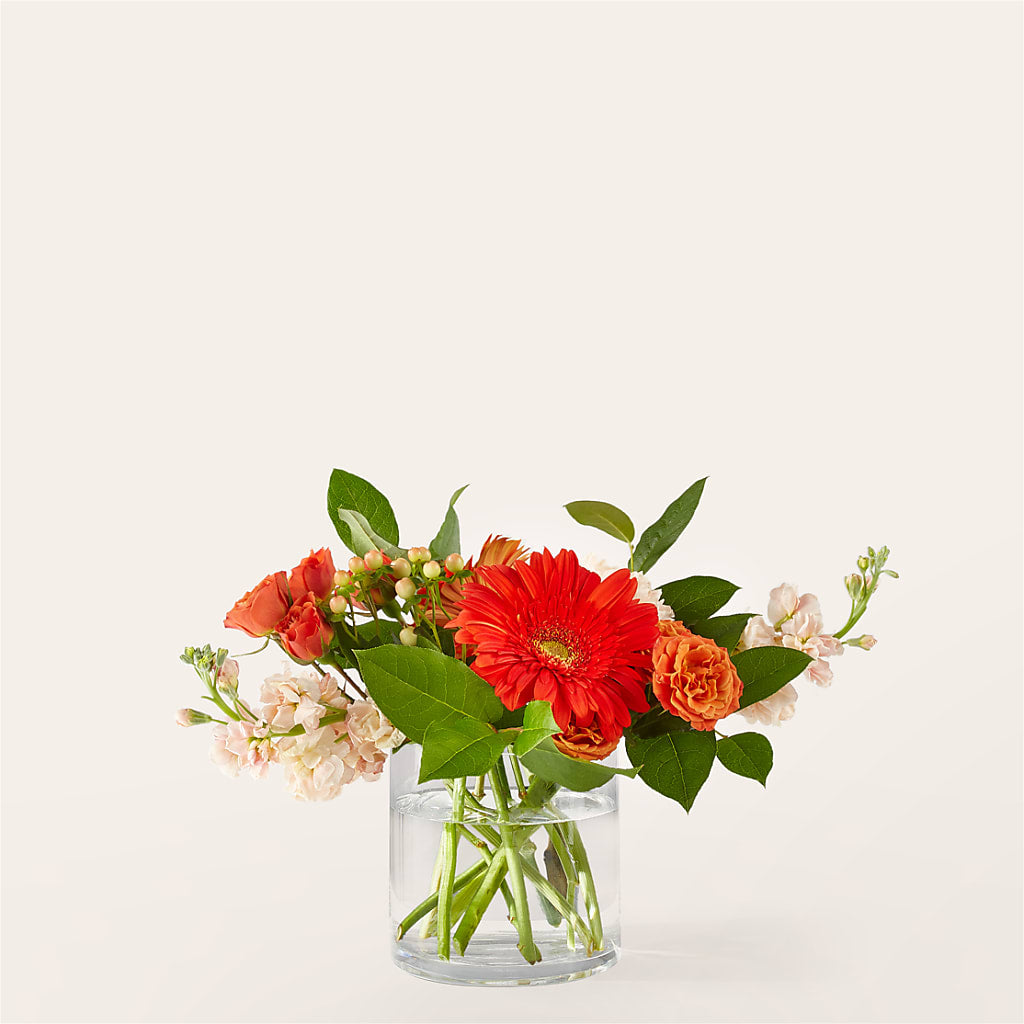 Paloma Please Bouquet – Flower House Iii, Spring Hill FL
