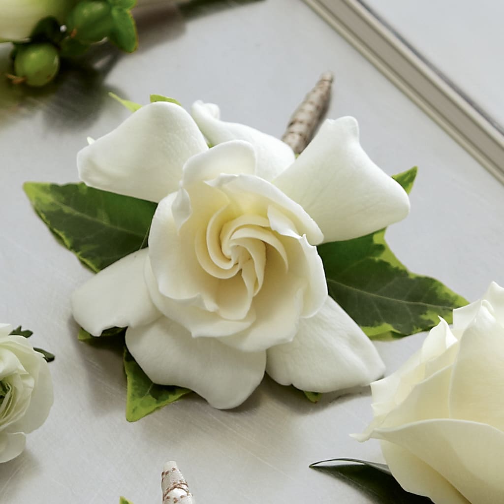 Gardenia Boutonniere – Flower House Iii, Spring Hill FL