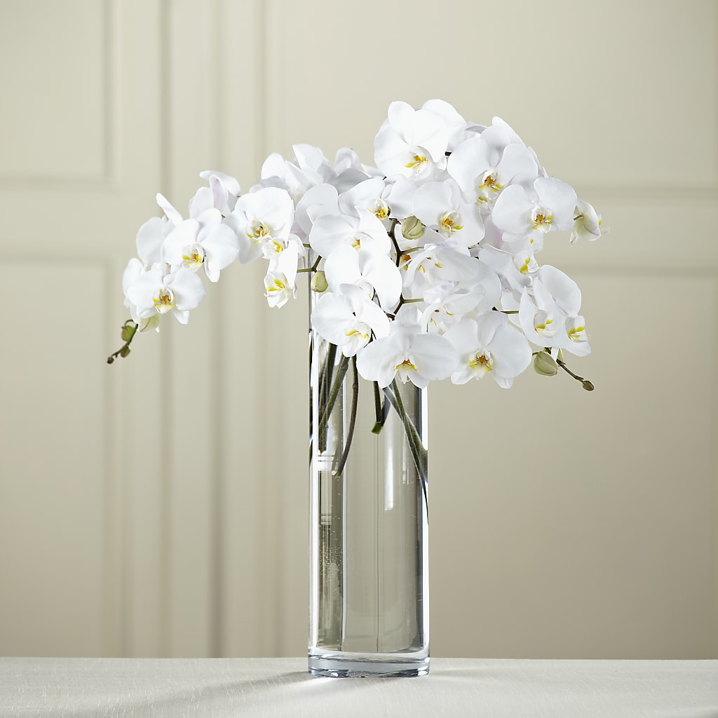 White Phalaenopsis Bouquet – Flower House Iii, Spring Hill FL