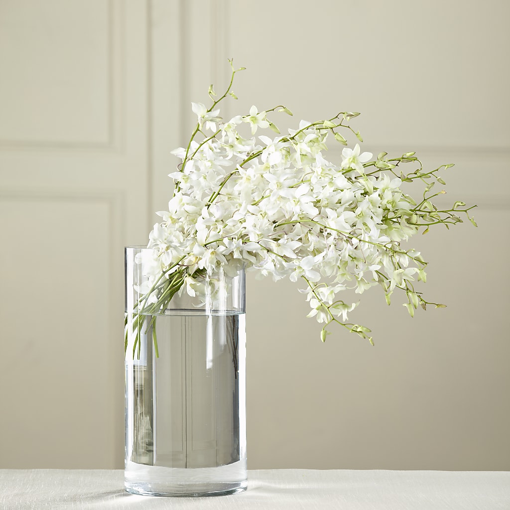 White Dendrobium Bouquet – Flower House Iii, Spring Hill FL