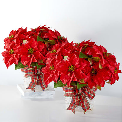 Happiest Holidays Poinsettia Bundle –  Flower House Iii, Spring Hill FL