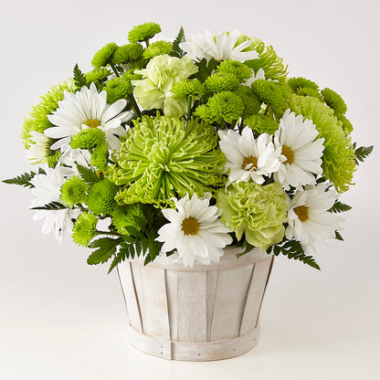 Lucky Charm Basket (Standard) –  Flower House Iii, Spring Hill FL