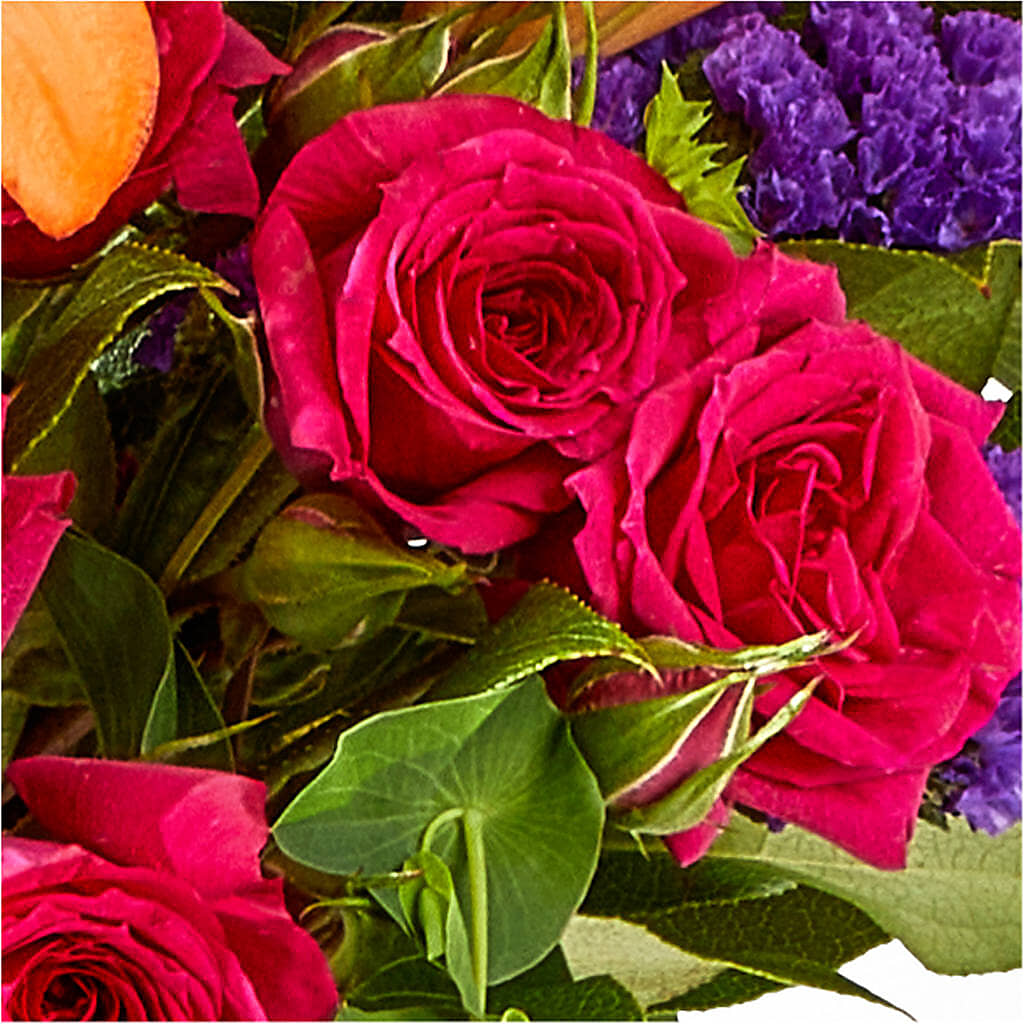 Birthday Palooza Bouquet –  Flower House Iii, Spring Hill FL