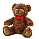Adorable Plush Bear –  Flower House Iii, Spring Hill FL