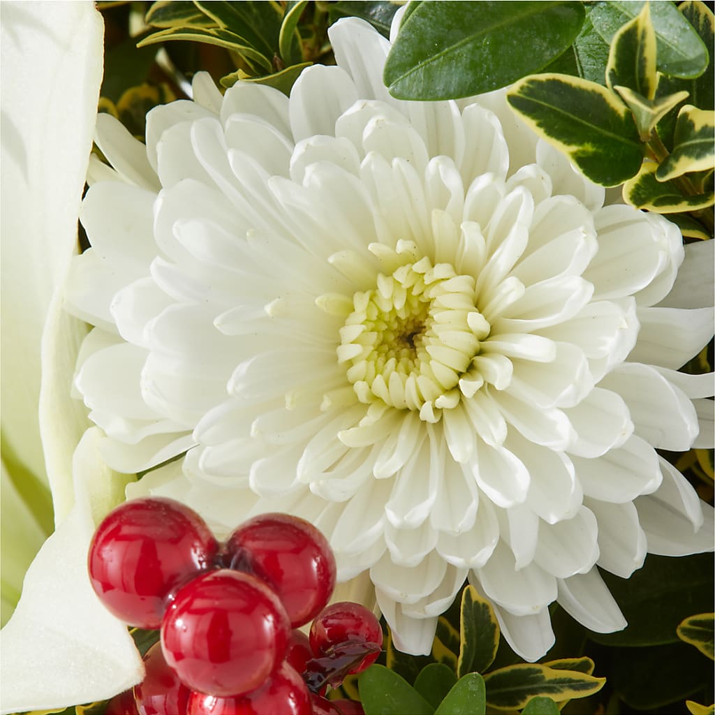 Festive Moments Tree –  Flower House Iii, Spring Hill FL