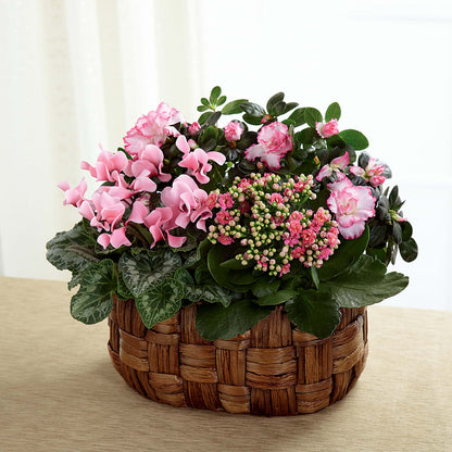 Pink Assortment –  Flower House Iii, Spring Hill FL
