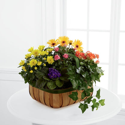 Gentle Blossoms Basket –  Flower House Iii, Spring Hill FL