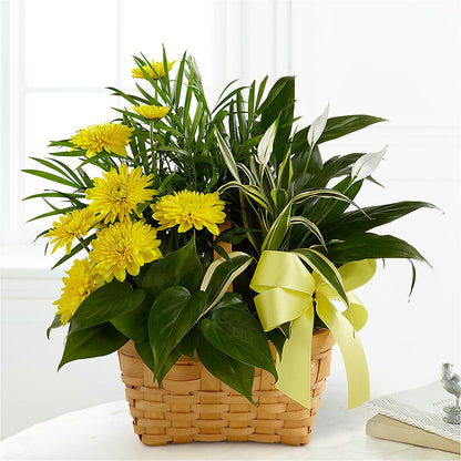 Loving Light Dishgarden –  Flower House Iii, Spring Hill FL
