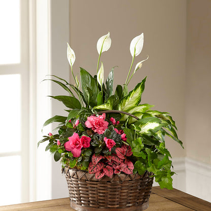 Dream in Pink Dishgarden –  Flower House Iii, Spring Hill FL