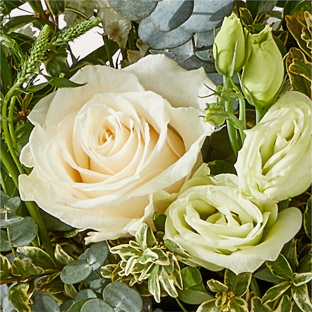 Cashmere Bouquet –  Flower House Iii, Spring Hill FL