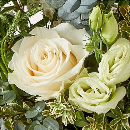 Cashmere Bouquet –  Flower House Iii, Spring Hill FL