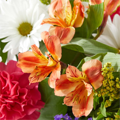 Oopsie Daisy Box Bouquet –  Flower House Iii, Spring Hill FL