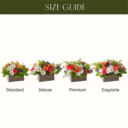 Oopsie Daisy Box Bouquet –  Flower House Iii, Spring Hill FL