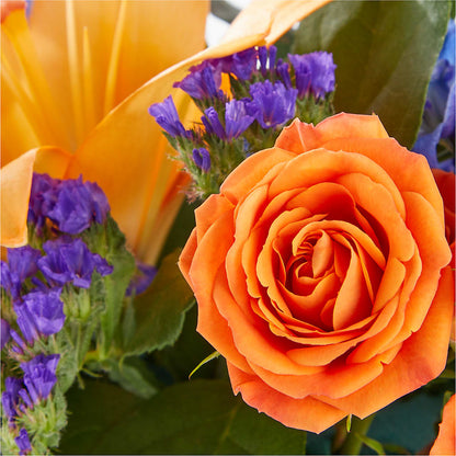 Radiant Citrus Box Bouquet –  Flower House Iii, Spring Hill FL