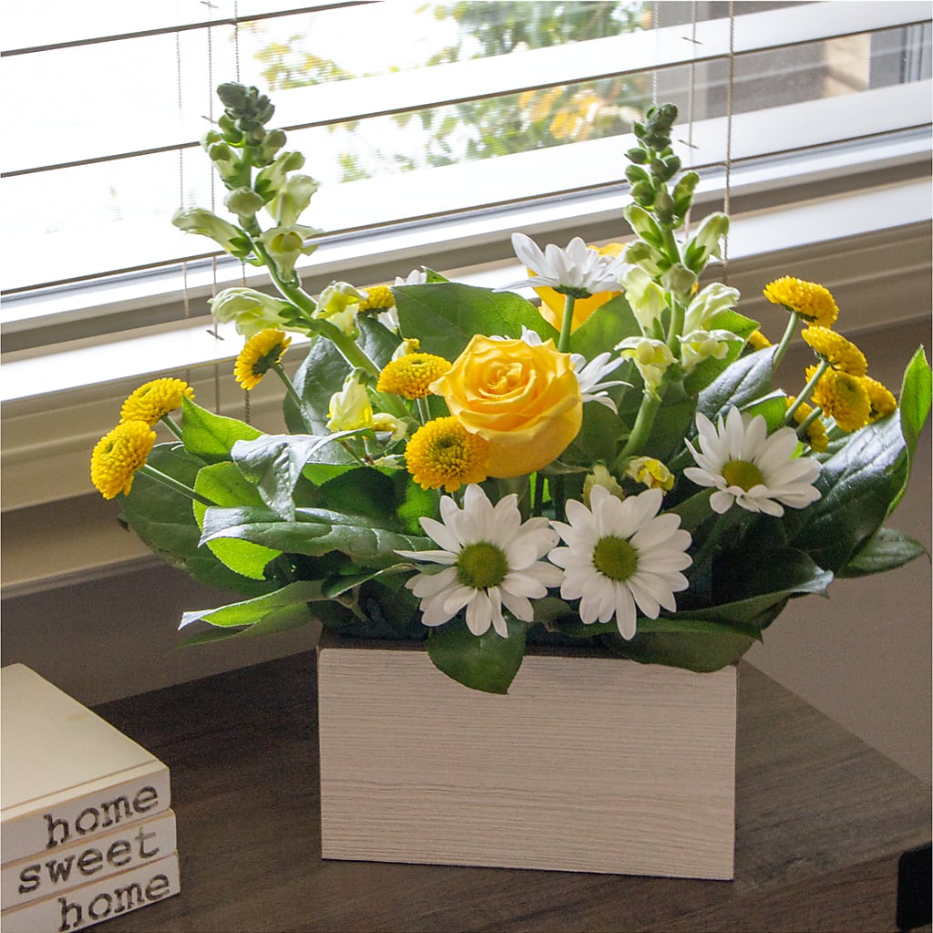Sun Salutation Box Bouquet –  Flower House Iii, Spring Hill FL
