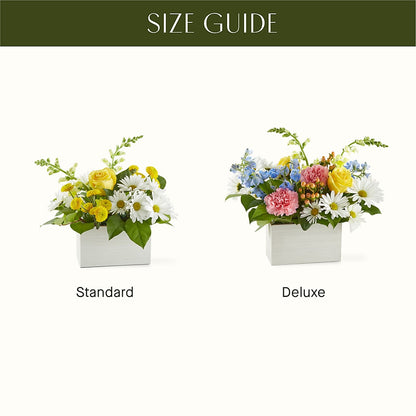Sun Salutation Box Bouquet –  Flower House Iii, Spring Hill FL