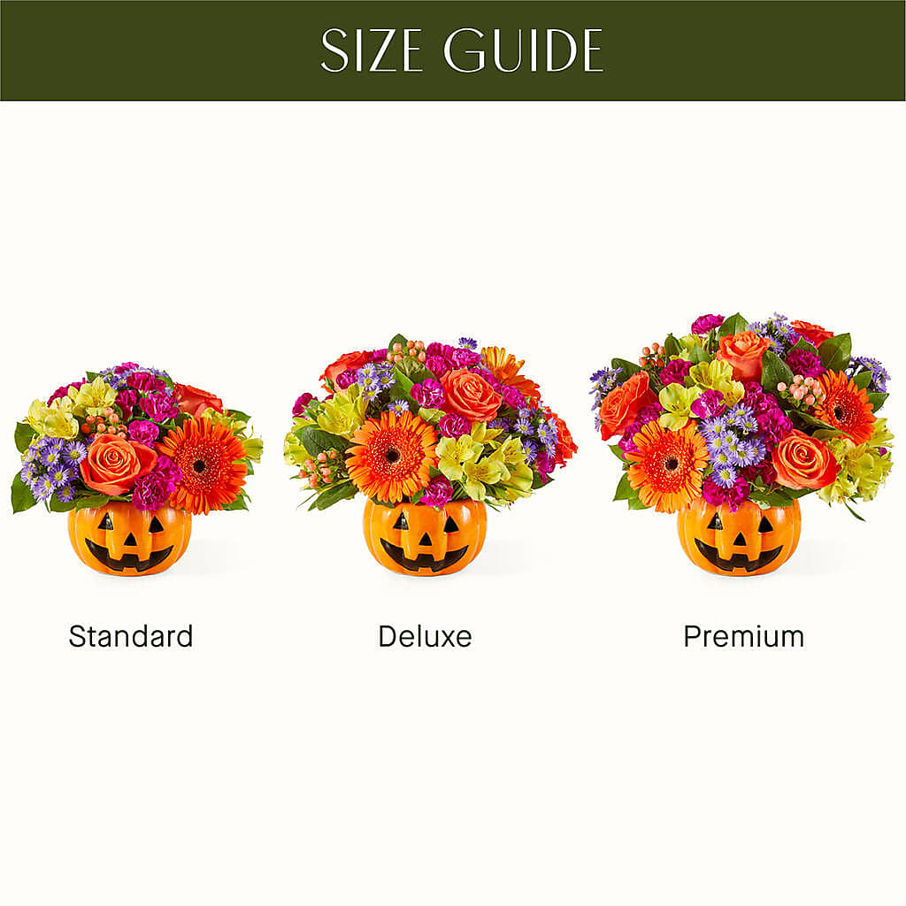 Tricks & Treats Pumpkin –  Flower House Iii, Spring Hill FL