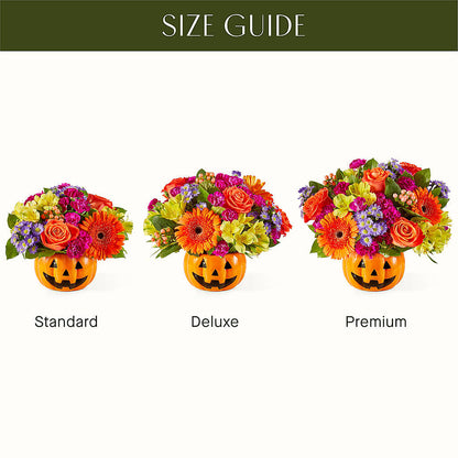 Tricks & Treats Pumpkin –  Flower House Iii, Spring Hill FL