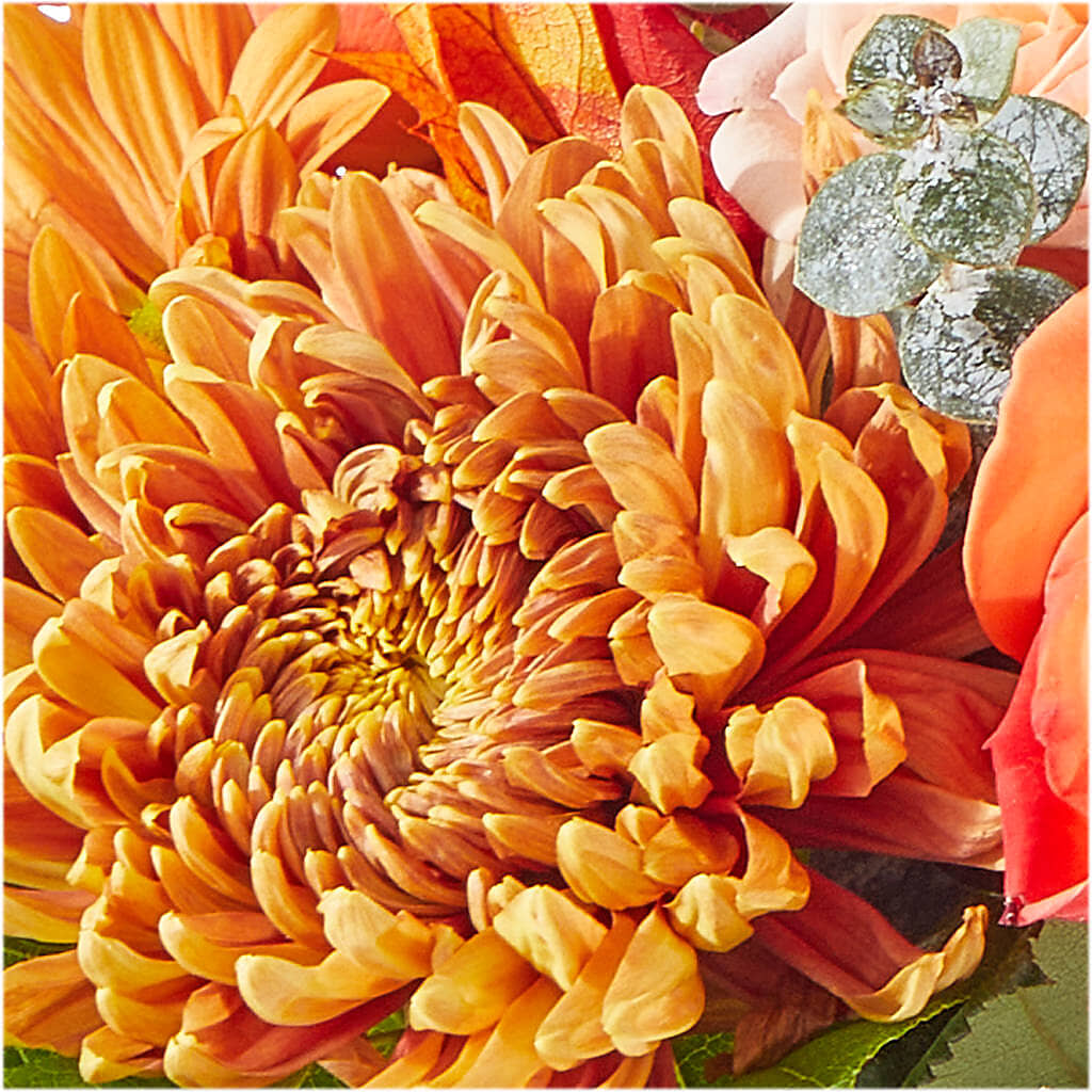 Scenic Route Bouquet –  Flower House Iii, Spring Hill FL