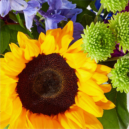 Catching Rays Bouquet –  Flower House Iii, Spring Hill FL
