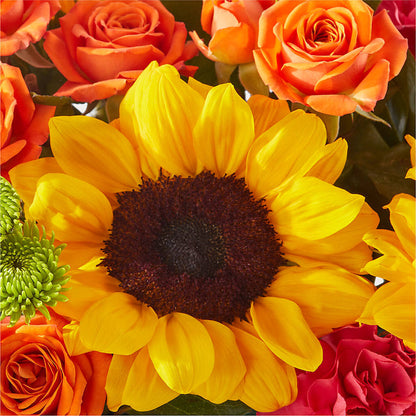 Sun-drenched Blooms Box Bouquet –  Flower House Iii, Spring Hill FL
