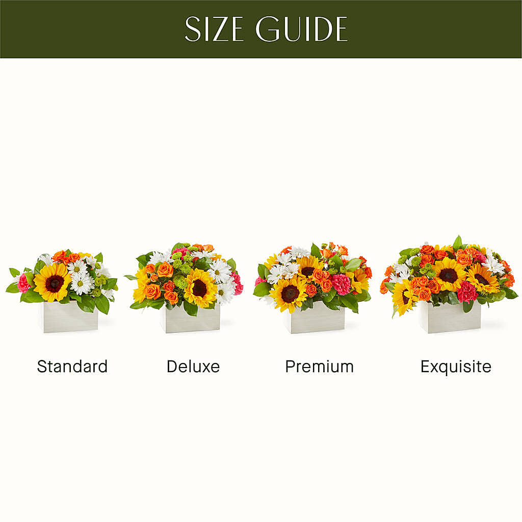 Sun-drenched Blooms Box Bouquet –  Flower House Iii, Spring Hill FL