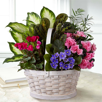 Peaceful Garden Planter –  Flower House Iii, Spring Hill FL