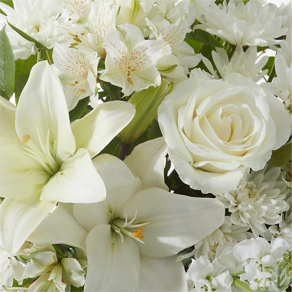 Peaceful Reflections Arrangement –  Flower House Iii, Spring Hill FL