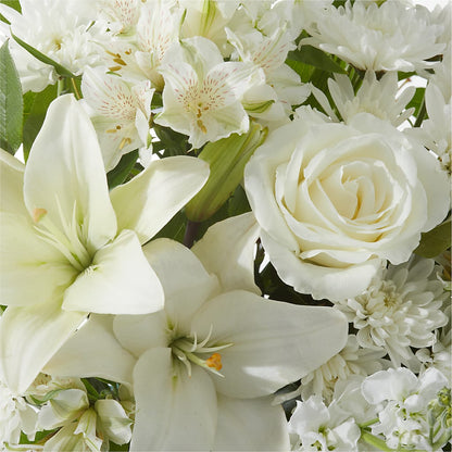 Peaceful Reflections Arrangement –  Flower House Iii, Spring Hill FL