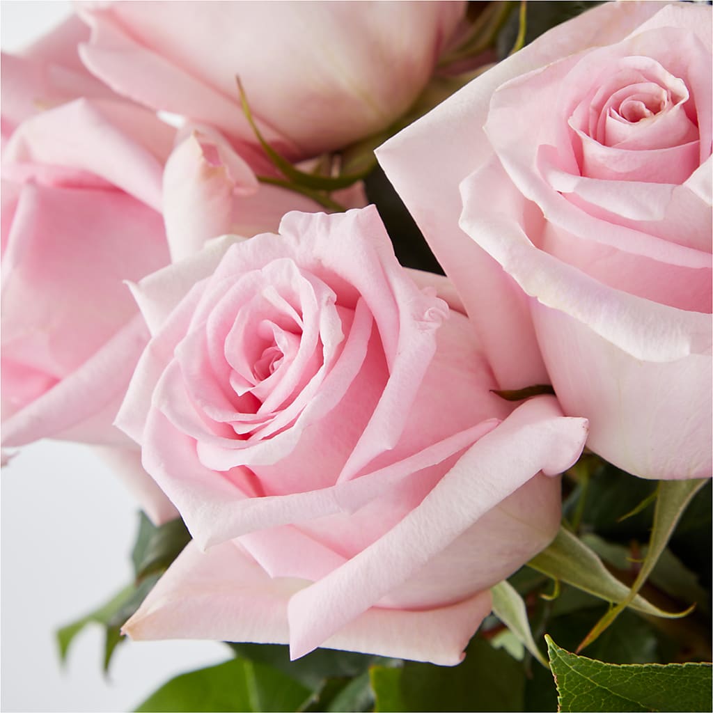 Picture Perfect Pink Rose Bouquet –  Flower House Iii, Spring Hill FL