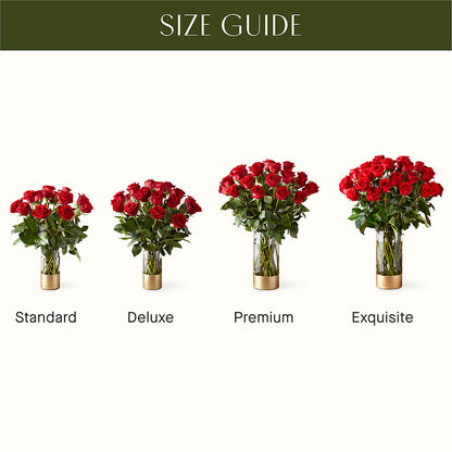 Classic Love Red Rose Bouquet –  Flower House Iii, Spring Hill FL