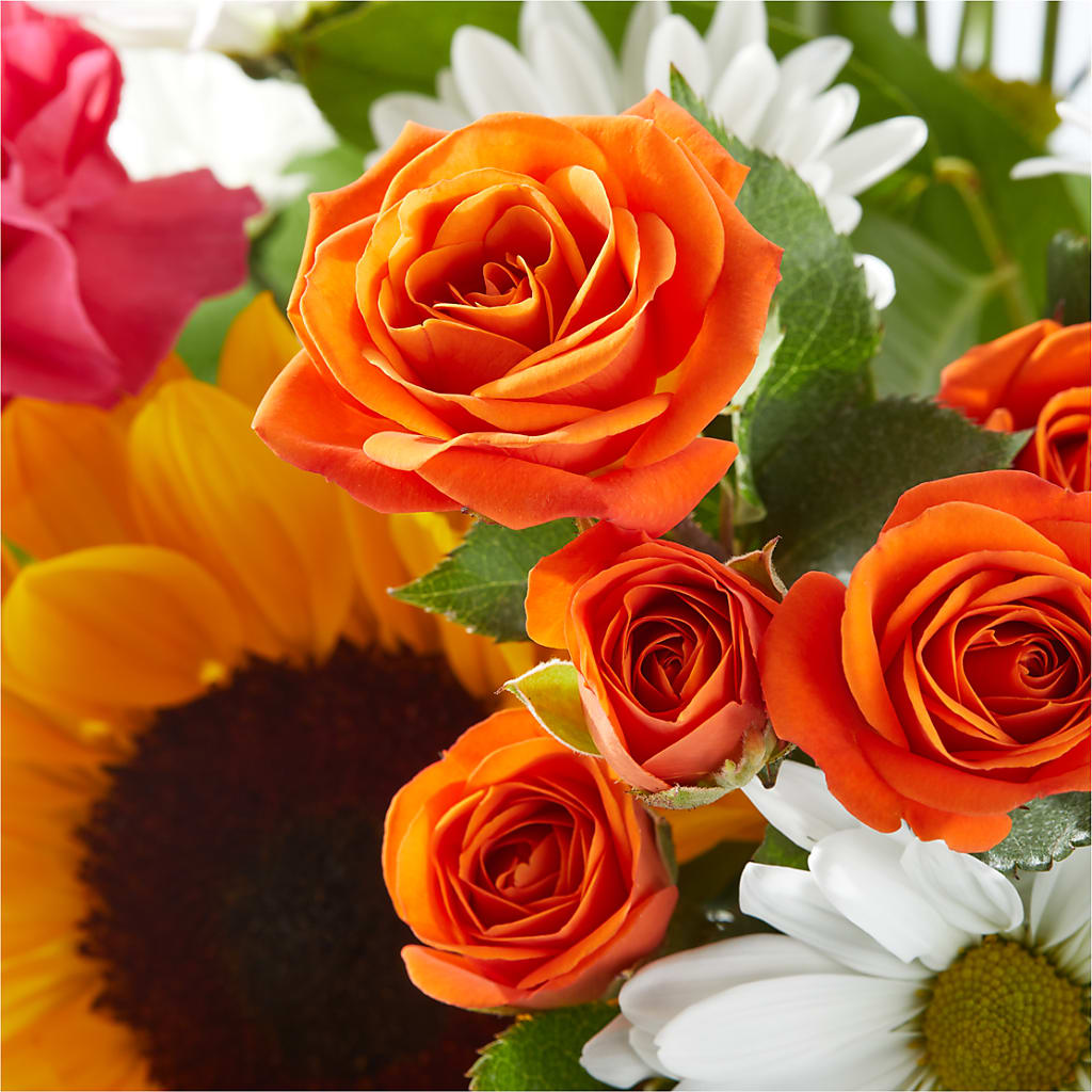 Sun-drenched Blooms Bouquet –  Flower House Iii, Spring Hill FL