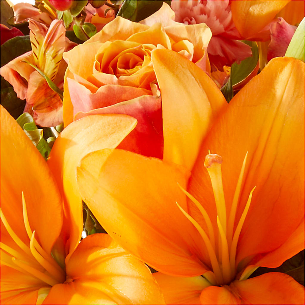 Afternoon Light Bouquet –  Flower House Iii, Spring Hill FL