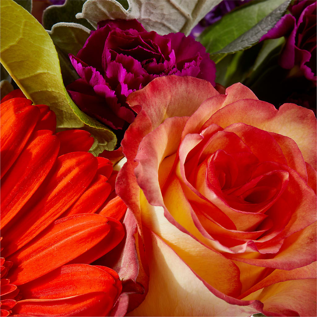 Sangria Bouquet –  Flower House Iii, Spring Hill FL