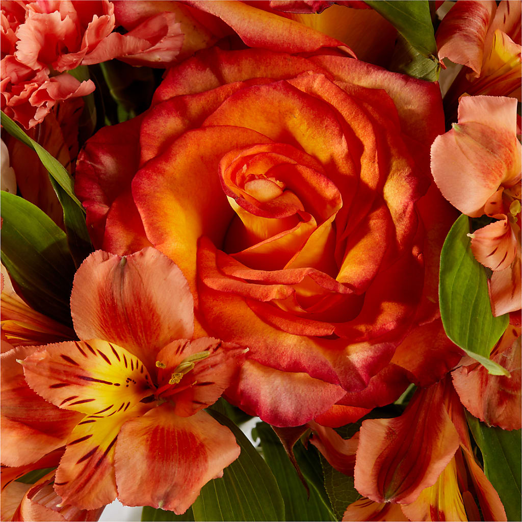 Apricot Glow Bouquet –  Flower House Iii, Spring Hill FL