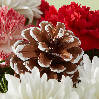 Candy Cane Lane Bouquet –  Flower House Iii, Spring Hill FL