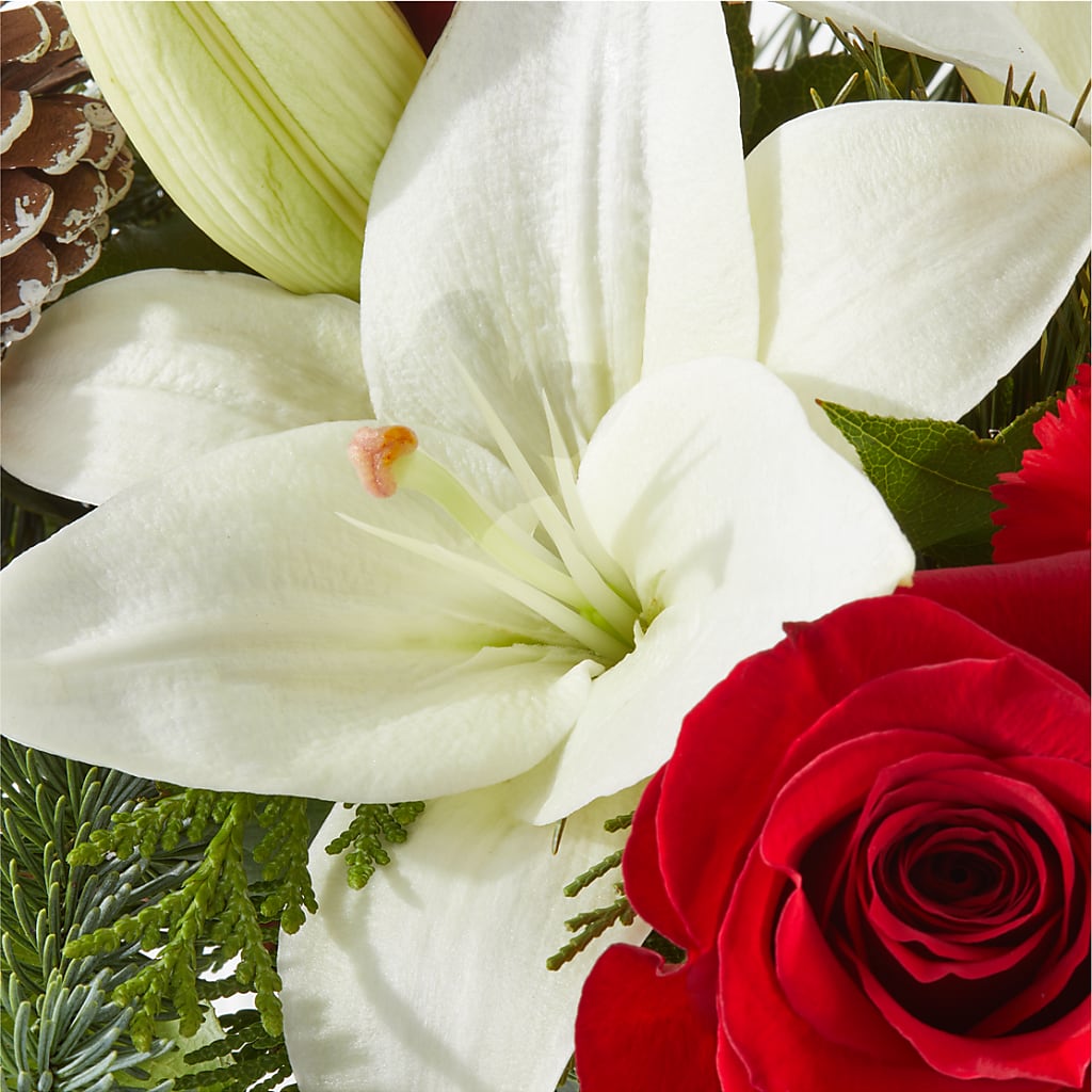 Oh So Jolly Bouquet –  Flower House Iii, Spring Hill FL