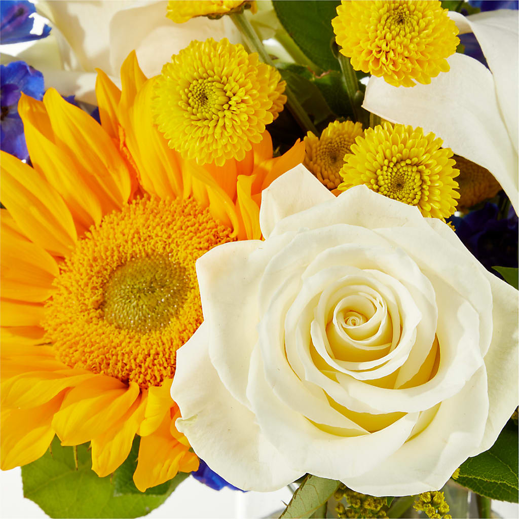 Stargazing Bouquet –  Flower House Iii, Spring Hill FL